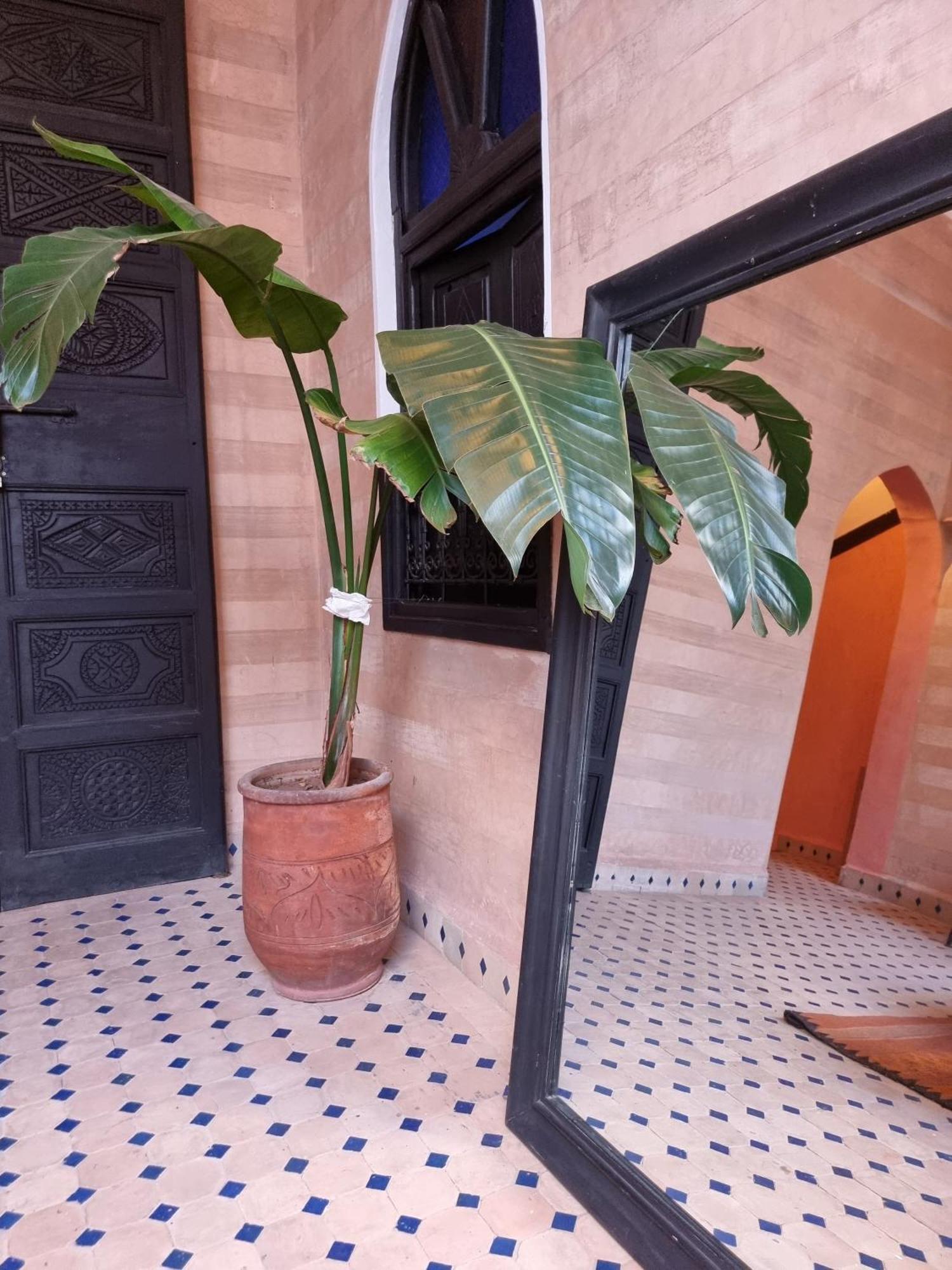 Riad Black Doors Марракеш Екстер'єр фото