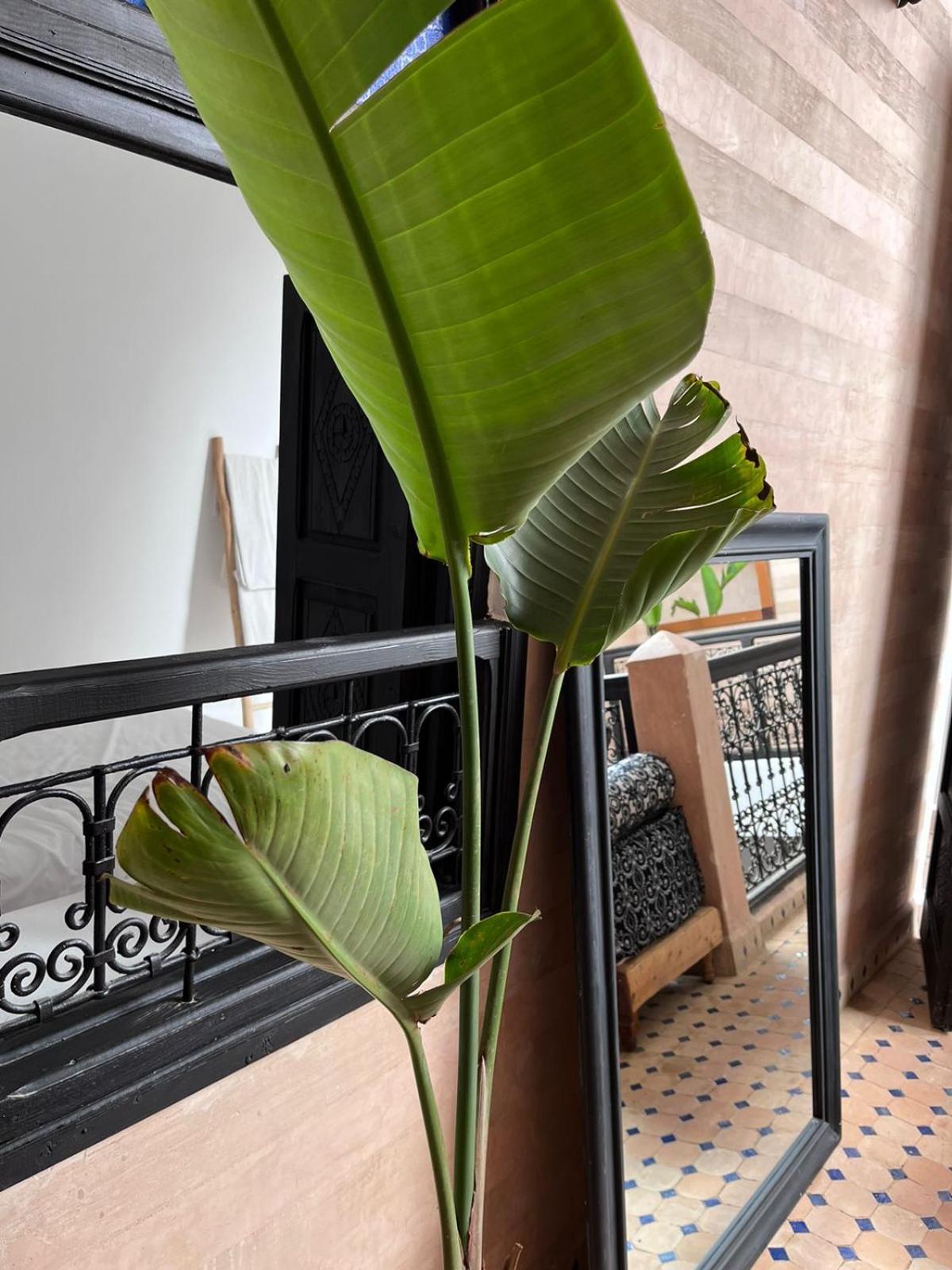 Riad Black Doors Марракеш Екстер'єр фото