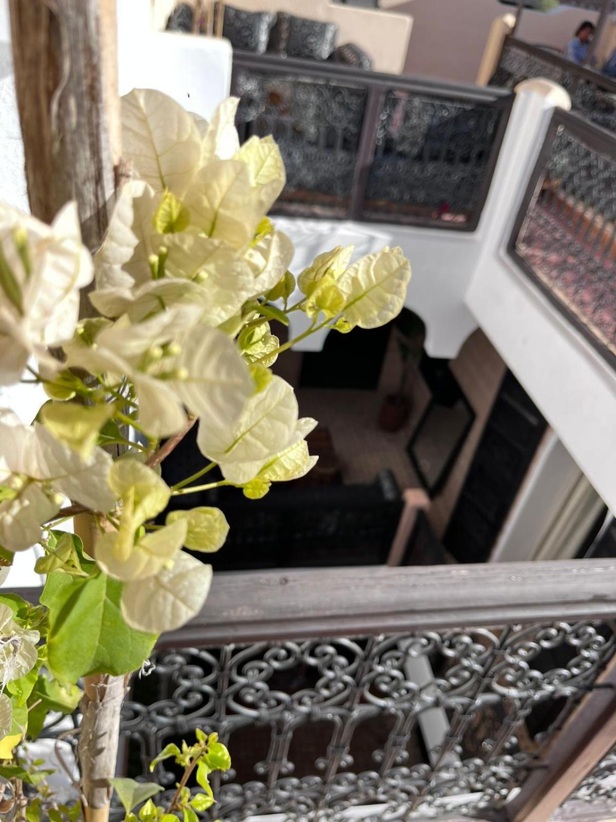 Riad Black Doors Марракеш Екстер'єр фото